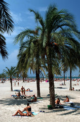 Spanien  Mallorca  Strandabschnitt EL ARENAL