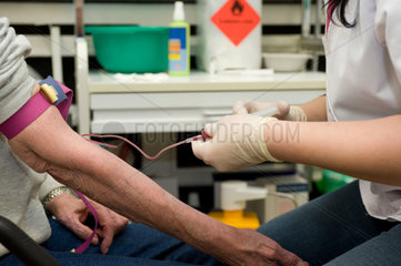 Duisburg  Deutschland  eine Krankenschwester entnimmt Blut bei einer Patientin