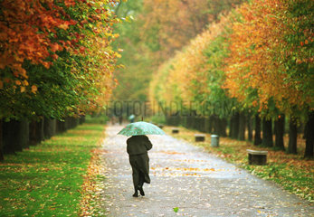 Herbst - Spaziergaenger mit Schirm im Park  Berlin