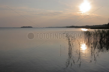 Mikolcy  Weissrussland  Sonnenuntergang am Narac-See