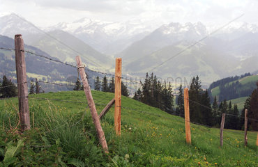 Alm bei Gstaad  Schweiz