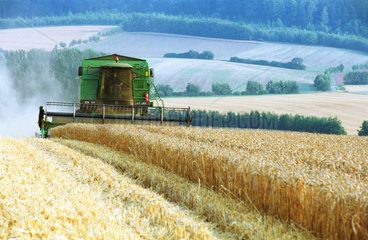 Maehdrescher bei der Getreidenernte  Niedersachsen