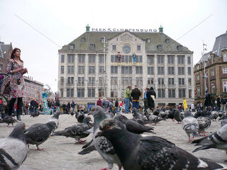 Amsterdam  Niederlande  Tauben vor Peek und Cloppenburg am Dam Square