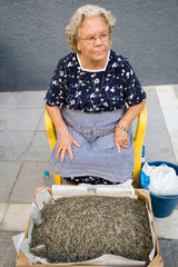 Spanien  aeltere Frau verkauft -Camarones- (kleine Shrimps) auf der Strasse