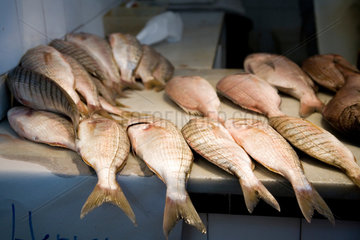 Spanien  Szene auf einem Fischmarkt in Sanlucar de Barrameda
