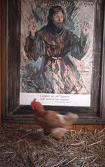 Huhn vor dem Bildnis des heiligen Franziskus