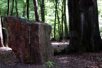Friedwald - Bestattung im Naturpark Teutoburger Wald  Gedenkstein