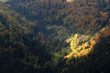 Simonswald  Herbststimmung im Schwarzwald