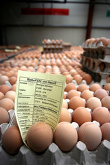 Lager fuer Bio-Eier bei der -Eiervermarktung Wiesengold Landei-