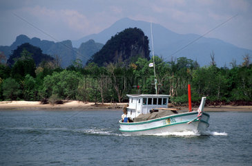 Boot mit den Felsen von Krabi (Thailand)