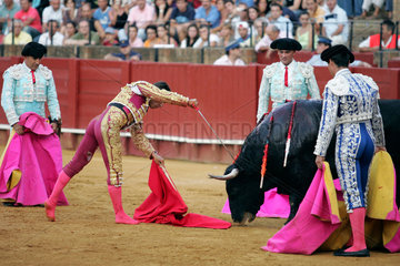 Sevilla  Spanien  der Matador Anibal Ruiz setzt einem Stier den Todesstoss in der Real Maestranza