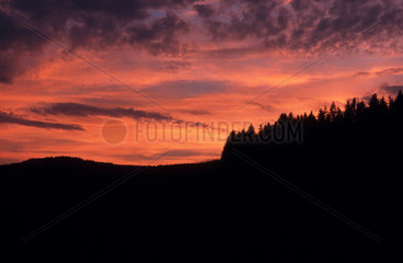Abendlicher Sonnenuntergang im Schwarzwald