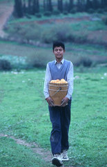 Junge bei der Feldarbeit (Westbank  Palaestina)