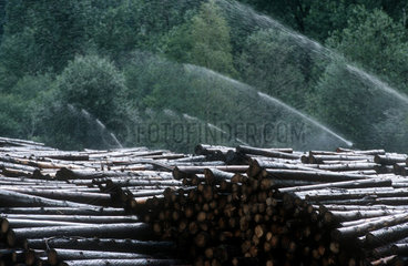 Simonswald  Lagerung von Baumstaemmen im Schwarzwald