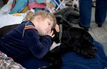 Kind liegt neben einer Dogge auf einer Hundemesse