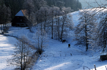 Schwarzwaldmuehle im Winter