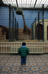 Unterschiedliche Perspektiven im Berliner Zoo