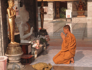 Buddhistischer Moench im Tempel