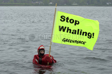 Heikendorf  Greenpeace demonstriert gegen Walfang