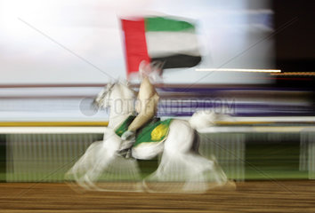 Dubai  Reiter mit Nationalflagge im Galopp
