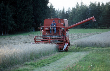 Furtwangen  Getreideernte im Schwarzwald