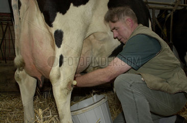 Meyn  Landwirt melkt Milch-Kuh