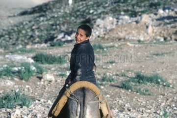 Ein Junge reitet auf einem Esel (Westbank  Palaestina)