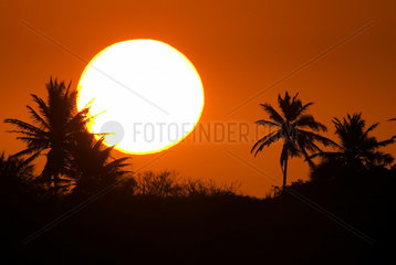 Strandlandschaft mit einem Sonnenuntergang  Brasilien