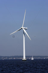 Offshore-Windpark  Windrad und Windkraft