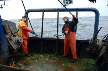Sassnitz  Deutschland  Ostseefischer vor Ruegen