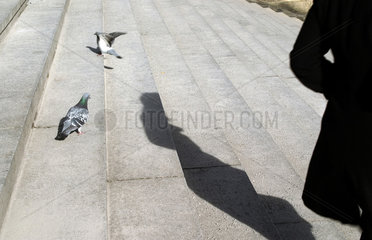 Berlin  Tauben auf einer Treppe