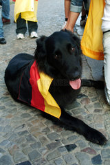 Berlin  Hund traegt eine Deutschlandfahne um den Hals