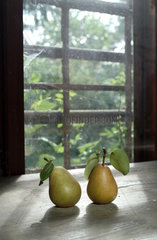 Zwei Birnen vor einem Fenster