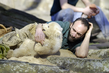 Berlin  Eisbaer Knut im Zoologischen Garten