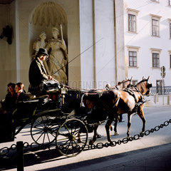 Wien  Fiaker in der Hofburg