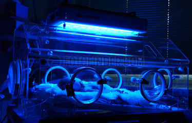 Fruehgeborenes im Inkubator