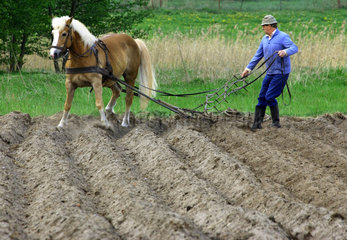 Bauer bei Feldarbeit