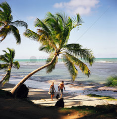 Palmenstrand  Dominikanische Republik