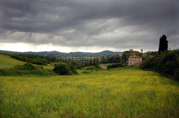 Toskana  Landschaft bei Siena