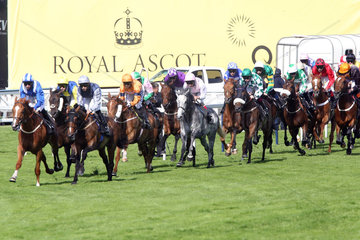 Royal Ascot  Horses and jockeys during a race