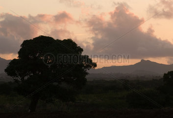 Landschaft auf Mauritius