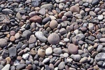Wittenbeck  Steine am Strand