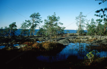Kuestenlandschaft in Finnland