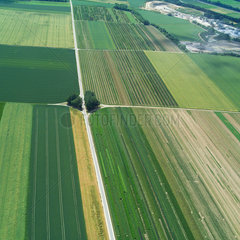 Luftaufnahme von Feldern