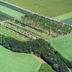 Luftaufnahme von Feldern