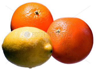 Berlin  Studioaufnahme einer Zitrone und zweier Orangen