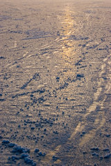 Bad Buchau  Sonnenstrahlen reflektieren sich im Eis des zugefrorenen Federsee