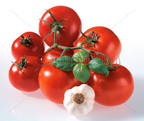 Tomaten  Knoblauch und Basilikum