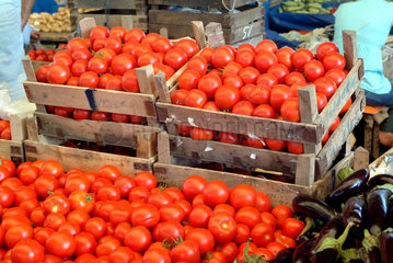 Tuerkei  Kisten voll mit Tomaten