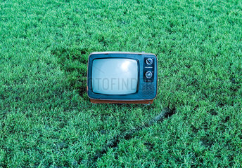 Riedlingen  ein Fernseher auf einem Rasen